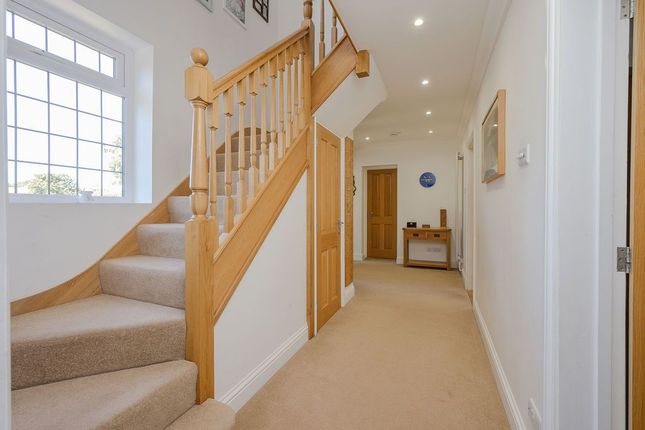 75, Esher photo 2