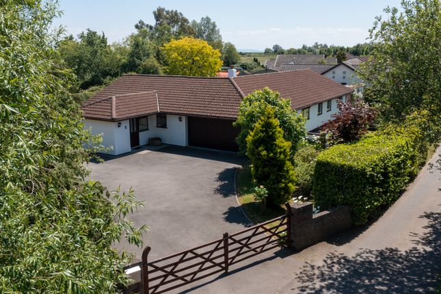 Thumbnail Bungalow for sale in Outfall Lane, Newport, Newport