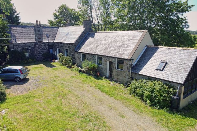 The Property