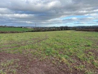Thumbnail Land for sale in Hoarwithy, Hereford