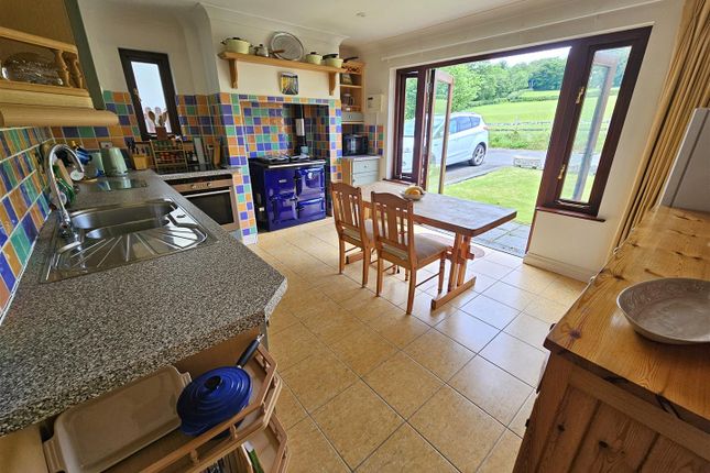 White Rock, Meavy, Yelverton photo 3