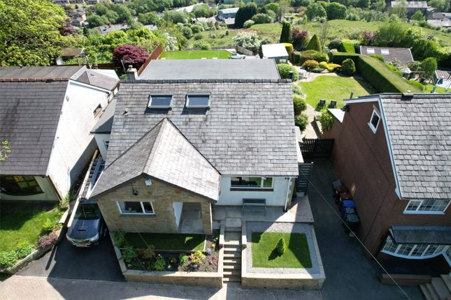 Aerial Views