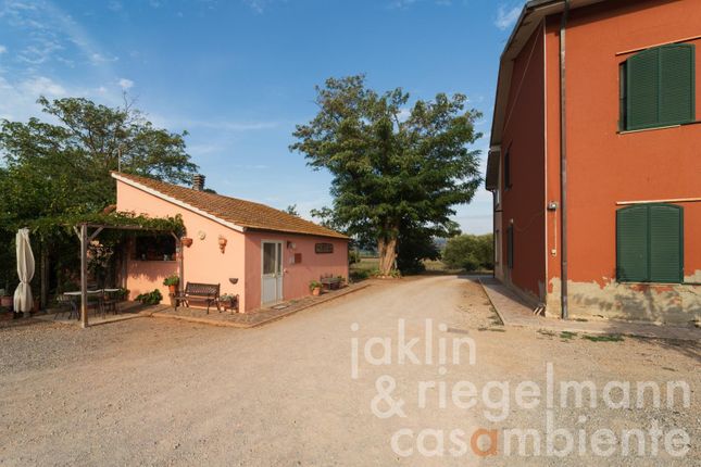Farm for sale in Italy, Tuscany, Grosseto, Grosseto
