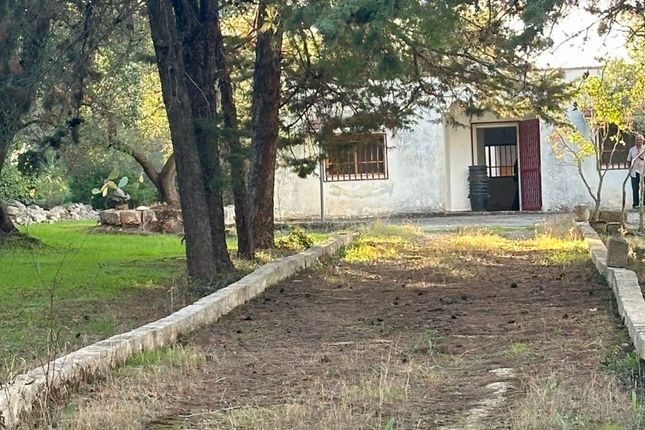 Thumbnail Property for sale in 72019 San Vito Dei Normanni, Br, Italy