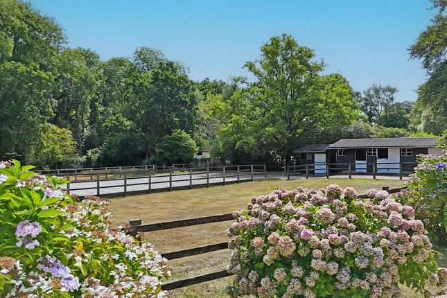 18, Honey Lane, Ringwood photo 2
