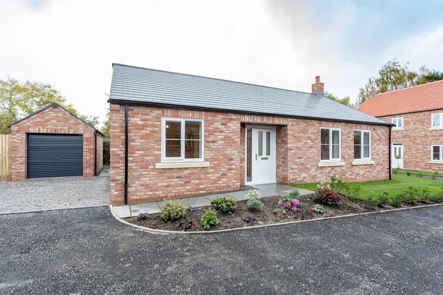Thumbnail Detached bungalow for sale in North End, Raskelf, York