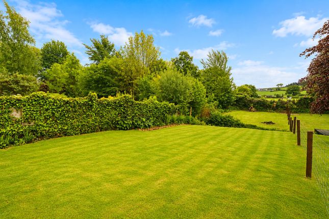 Meadow Cottage 4B Town Mill, Wiveliscombe Taunton Somerset photo 4