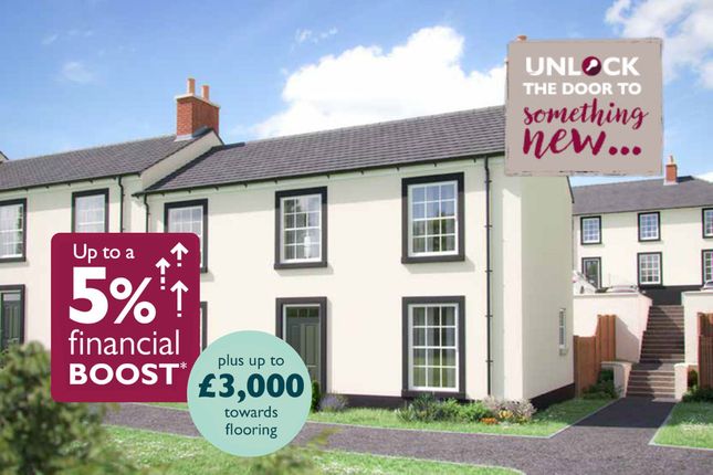 CH Q4 The Bilberry 46