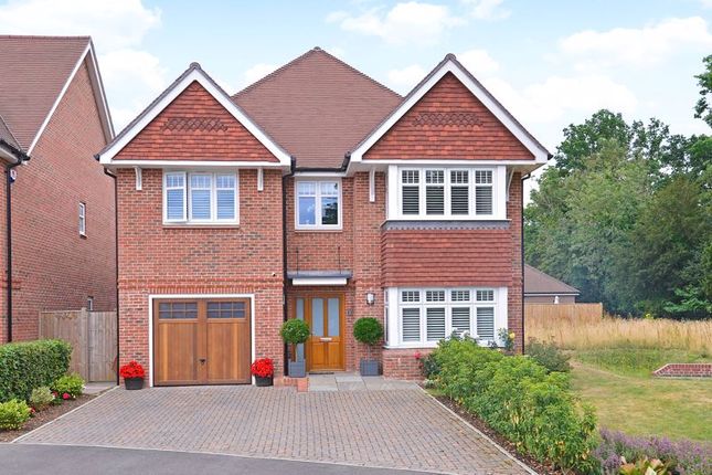 Thumbnail Detached house for sale in Hydon Grove, Cranleigh