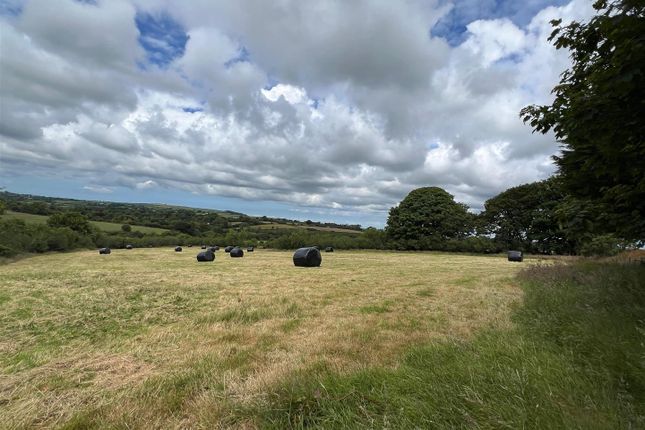 View Of Lower Field