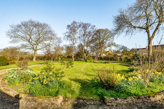 Chaffeys Plot,, Pound Road, Ilminster photo 2