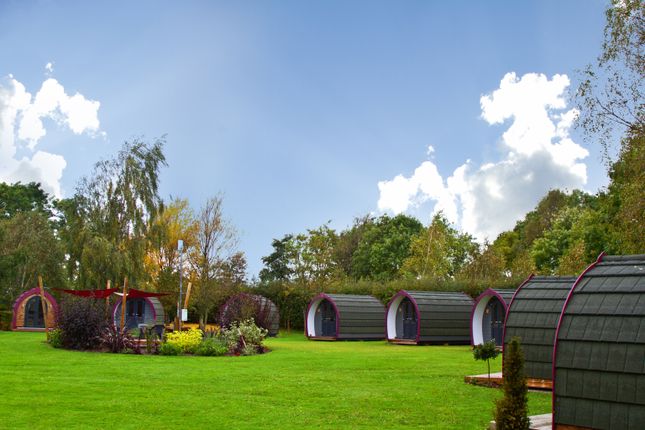 Thumbnail Land for sale in Glamping Site And House, York, United Kingdom