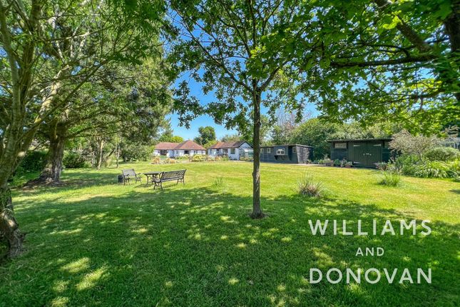 Thumbnail Detached bungalow for sale in Lark Hill Road, Canewdon, Rochford