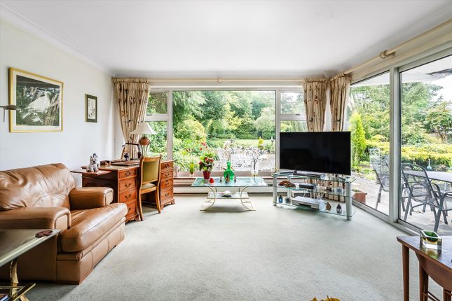 20, Pewley Hill, Guildford photo 4