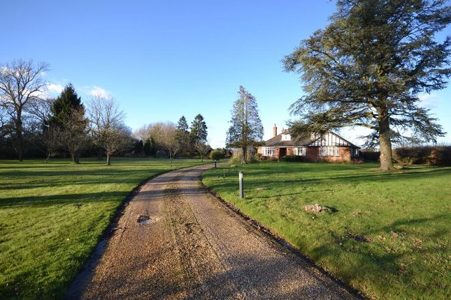 Detached bungalow for sale in Hadham Road, Bishop's Stortford