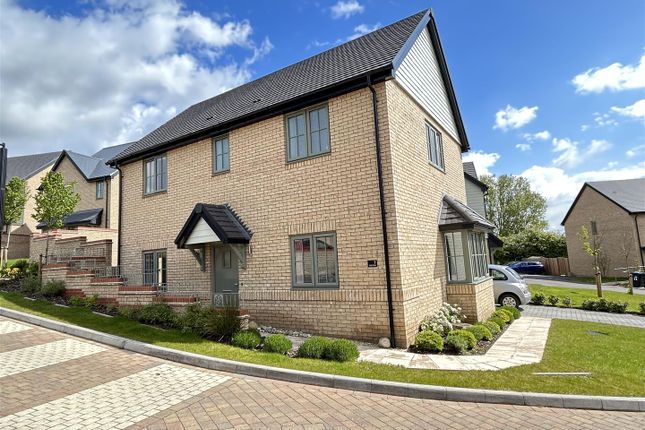 Thumbnail Detached house for sale in Walnut Drive, Haddenham, Ely