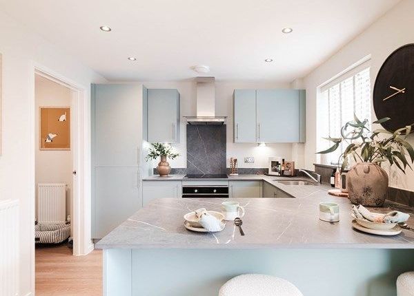 Plot 389 Ashworth Place, Exeter photo 3