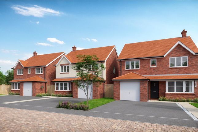 Thumbnail Detached house for sale in Holly Grove, Boxmoor, Hertfordshire