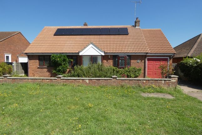 Thumbnail Detached bungalow to rent in Oakwood Avenue, West Mersea, Colchester