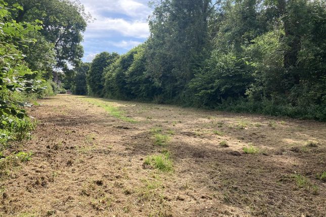 Thumbnail Farm for sale in Madley, Hereford