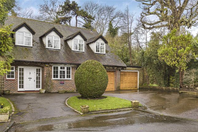 Thumbnail Detached house to rent in Musgrave Close, Hadley Wood, Hertfordshire