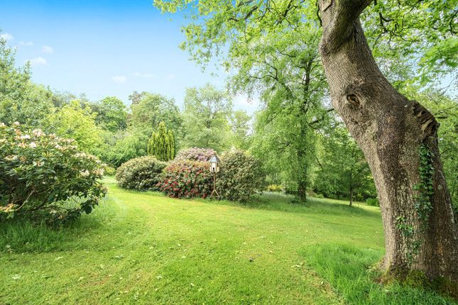 Fernlea,, Hemyock, Devon photo 4