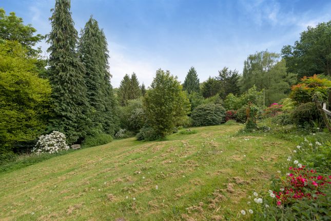Cerrig Mawrian, Llanover, Abergavenny photo 2
