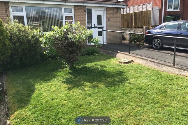 Thumbnail Bungalow to rent in Chepstow Avenue, Guilsfield, Welshpool