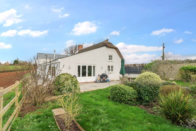 Detached house for sale in Lillesdon, Taunton