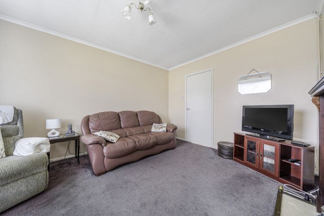 Brynteg, 13, Rhoslan, Welshpool photo 4