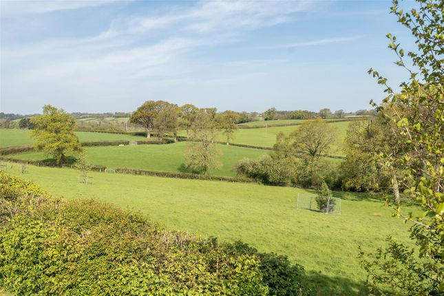 2 Springfield Park, Cheriton Bishop, Exeter photo 2
