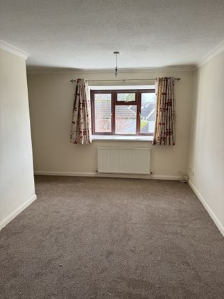 Terraced house to rent in Morningside, Dawlish