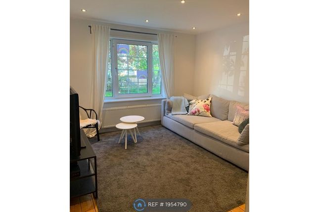 Thumbnail Semi-detached house to rent in Grosvenor Road, London