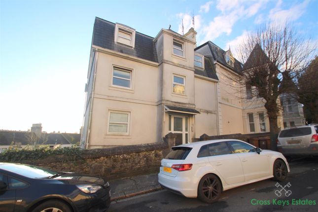 More Property Information