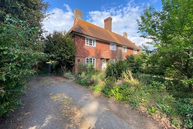 Semi-detached house to rent in Wisley Village, Surrey