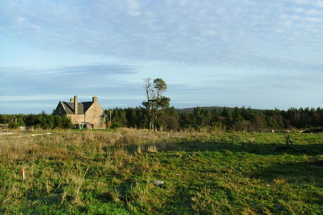 Land for sale in Achnatone, Nairn