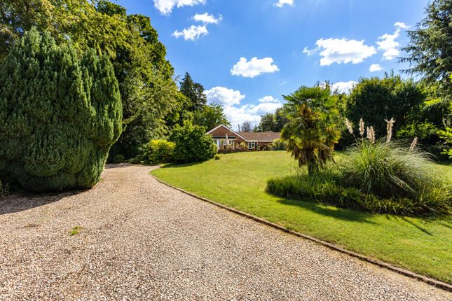 5-bed house on Sunset,, Arford Common, Bordon, £850,000
