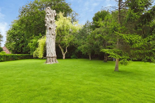Orchard Lodge, Melton Grange, Melton photo 4