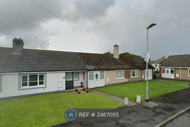 Thumbnail Bungalow to rent in Beatty Close., Whitehaven