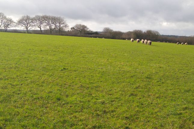 Land for sale in Northlew, Okehampton