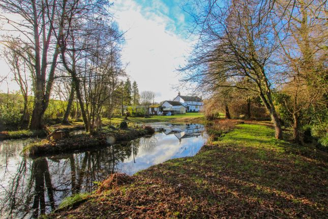 Beatlands Farm, Metcombe, Ottery Saint Mary photo 4