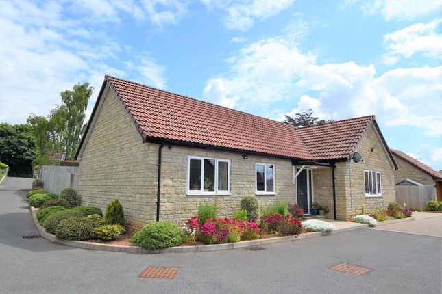 Thumbnail Detached bungalow for sale in The Paddock, Oakhill, Radstock