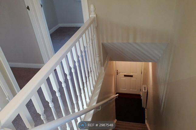 Blair Avenue, Spennymoor, Spennymoor photo 5