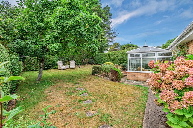 Detached bungalow for sale in Hacker Close, Newton Poppleford, Sidmouth