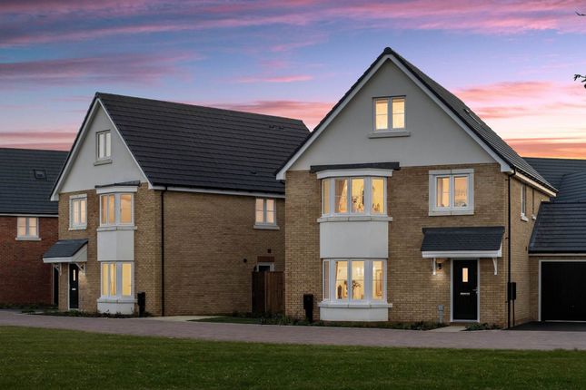 Thumbnail Detached house for sale in Sheerwater Way, Chichester