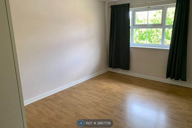 Campania Grove, Luton photo 5