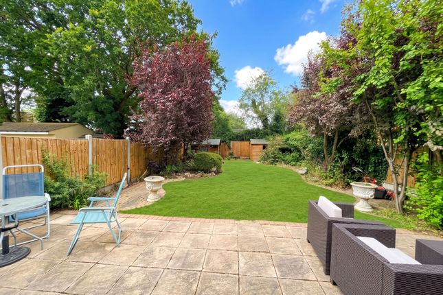 49 Chestnut Grove, Ilford photo 3