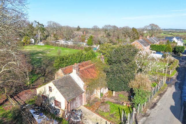 Suffield Cottage, Pages Lane, Brockenhurst photo 4