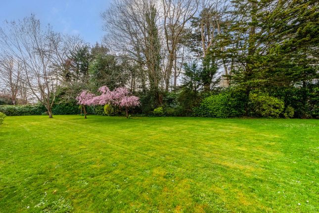 Flat 12, Summersdale Court The Drive, Chichester photo 4