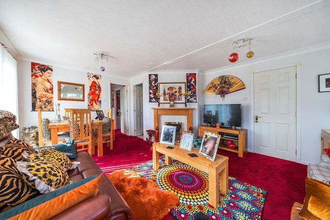 6, Newlands Drive, Newton Abbot photo 4
